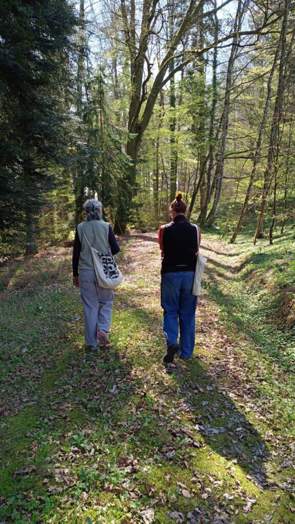Walk and Talk Coaching im Chiemgau in der Natur zur Klärung und persönlichen Entwicklung